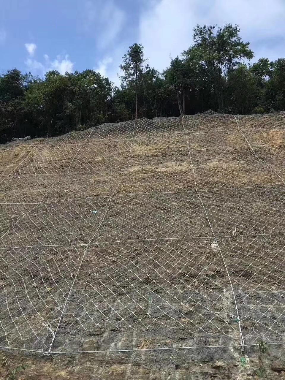 边坡防护网系列-yl6809永利